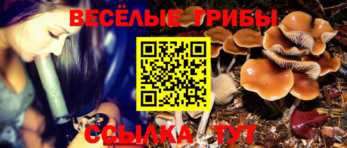 Псилоцибиновые грибы MAGIC MUSHROOMS Курчатов