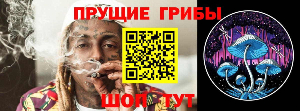 Курчатов  Псилоцибиновые грибы GOLDEN TEACHER  Вход с VPN 